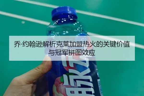 乔·约翰逊解析克莱加盟热火的关键价值与冠军拼图效应